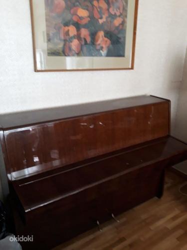 Новое пианино Petrof (фото #2)