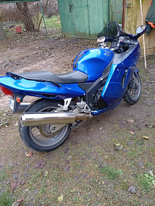 Honda Blackbird CBR tsikkel (3 foto / 6)