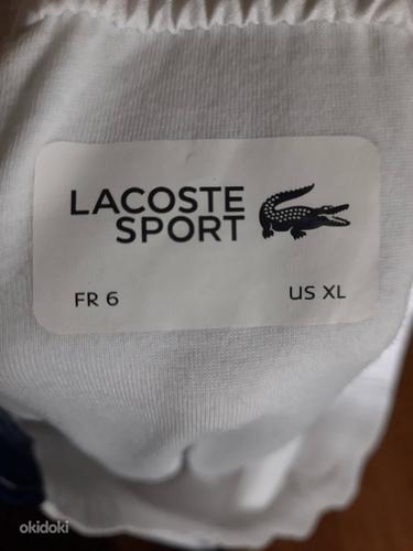 Новые спортивные штаны Lacoste (фото #4)