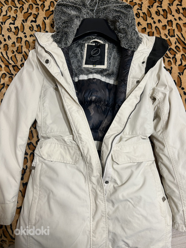 Parka talv