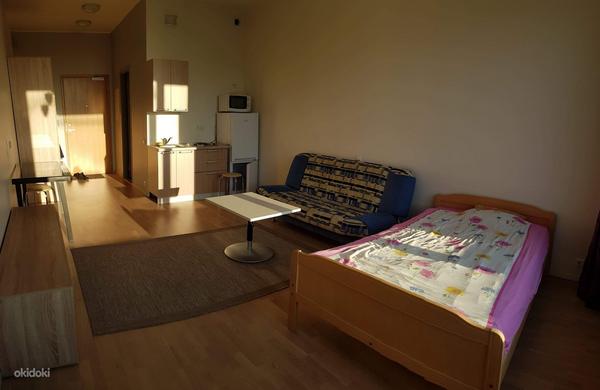 В аренду 1 комнатная квартира в Ласнамяэ (фото #2)