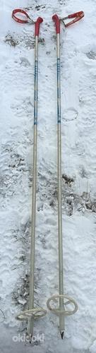 Лыжные палки Junior 160см (фото #1)