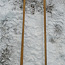 Лыжные палки из бамбука 150см (фото #1)