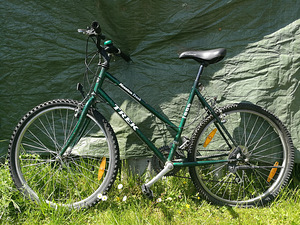 Naiste jalgratas Trek