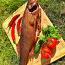 Рыба горячего копчения. Филе судака (фото #3)