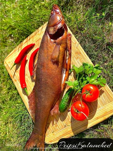 Рыба горячего копчения. Филе судака (фото #3)