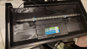 Juwel Primo Lux 70L (3 foto / 5)