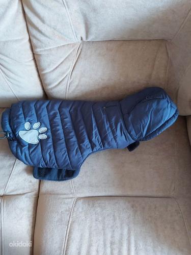 Mantel koertele / Coat for dogs (foto #2)