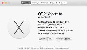 MacBook Retina 12-inch 2015 250GB (9 foto / 10)
