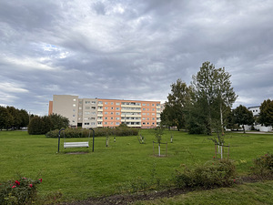Papiniidu tn 35, Mai, Pärnu, Pärnumaa (11 foto / 11)