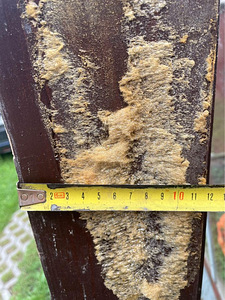 2 tumepruun täispuit uks koos lengiga: 187 x 67 x 12cm (10 foto / 10)