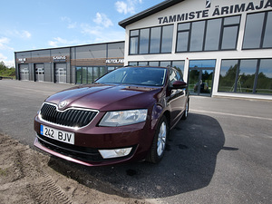 Škoda Octavia Combi 1,6TDI 77kw 7DSG (1 foto / 15)