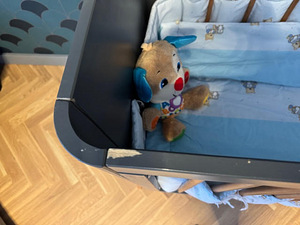 Beebivoodi komplekt Troll Torsten + Fisher Price (4 foto / 5)