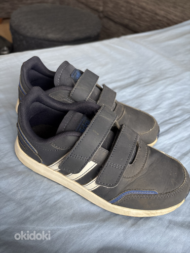 Adidase papud 31