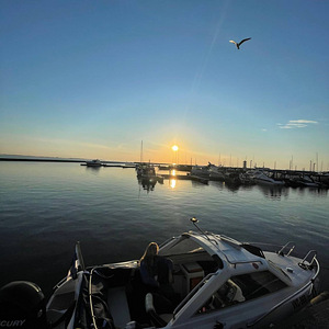 Приватная морская прогулка на моторной лодке Bella 560 HT (6 фото из 10)