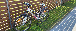 Maastikujalgratas CTM Suzzy 1.0, 26", 16" raam, valge-roosa (2 foto / 3)