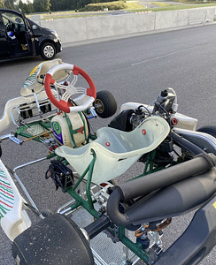 Rotax max гоночный карт (3 фото из 5)