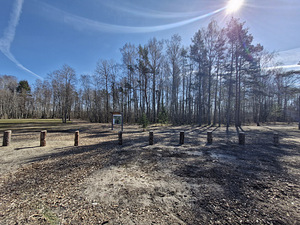Järve tee 4, Klooga, Lääne-Harju vald, Harjumaa (19 foto / 23)