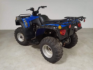 Квадроцикл 250cc (6 фото из 8)