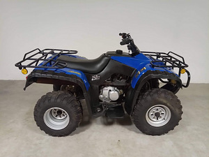 Квадроцикл 250cc (8 фото из 8)