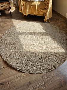Vaip / carpet (1 foto / 2)