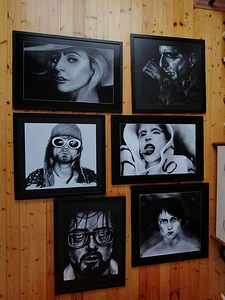 Lady Gaga trükitud kunstiteos (2 foto / 3)