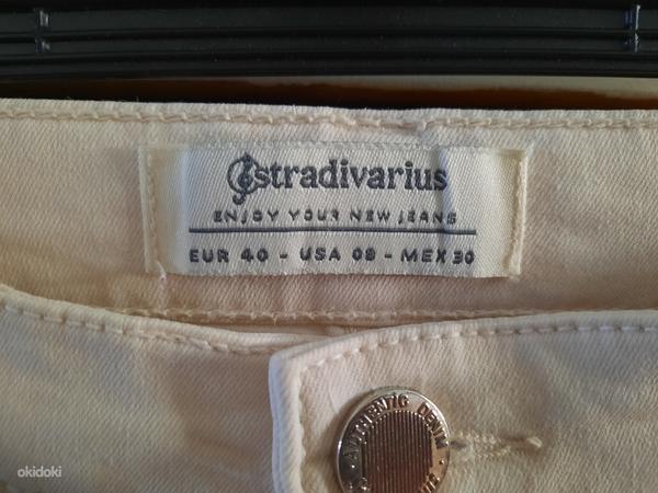 Stradivarius teksad (foto #2)