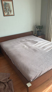 Magamisvoodi 160cm * 200cm koos madratsiga (1 foto / 1)
