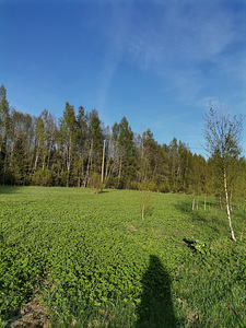 Räägu tee 22, Vikipalu, Anija vald, Harjumaa (6 foto / 10)