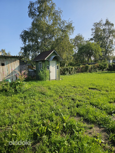 Огород , участок в Маарду (фото #6)
