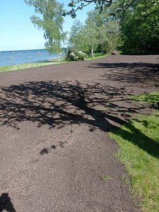 Külvata ja rullmuru (2 foto / 10)
