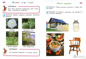 Ma õpin ümbritsev maailm 6-7 aastat (5 foto / 5)