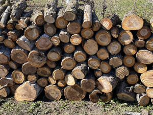 Küttepuud (õunapuu, kirss, ploom) (1 foto / 3)