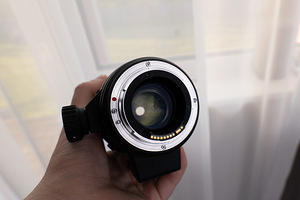 Sigma 150mm f/2.8 OS makroobjektiiv Canonile (4 foto / 4)