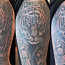 Tattoo, Cover Up, TALLINN (foto #2)