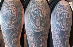 Tattoo in Tallinn (5 foto / 10)