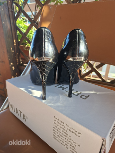Barberi kingad 37 suurus