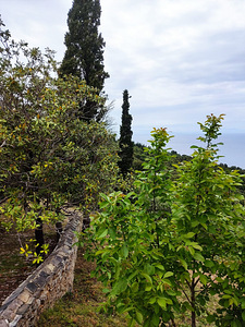Suvila