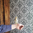 Попугай нимфа какаду (фото #3)