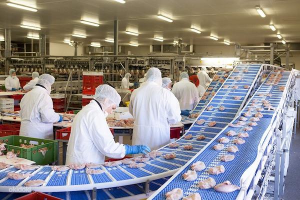 Töö Niederlada ja Belgia tehases kuni 15,18 eurot / tund. (foto #2)