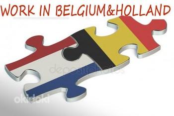 Работу в Нидерландах и Бельгии.  (фото #1)