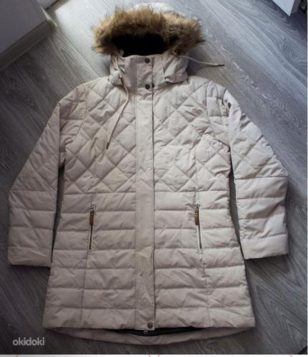 Talveparka