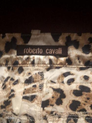 Roberto Cavalli leopardi kuldne pliiats seelik XS S (foto #3)