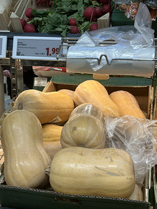 Kõrvits “Butternut) seemned. (1 foto / 1)
