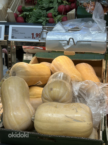 Kõrvits “Butternut) seemned.