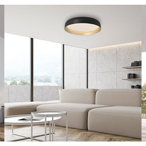 Osko laelamp (3 foto / 6)