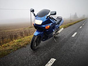 Kawasaki zzr 600 (4 foto / 6)