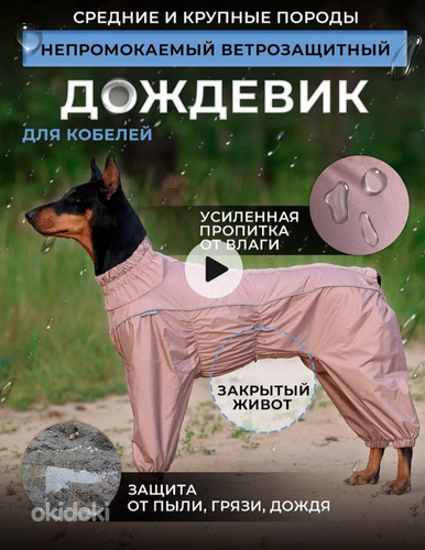 Дождевик для собак