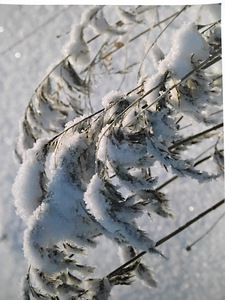 Eesti kohtade fotod (4 foto / 8)