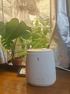 Kasvatuskast (Grow Box) (7 foto / 10)